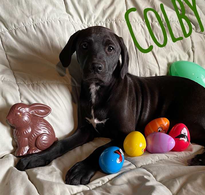 Photo of Colby