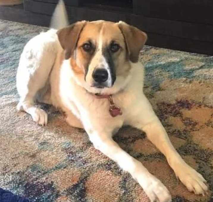Photo of Mia