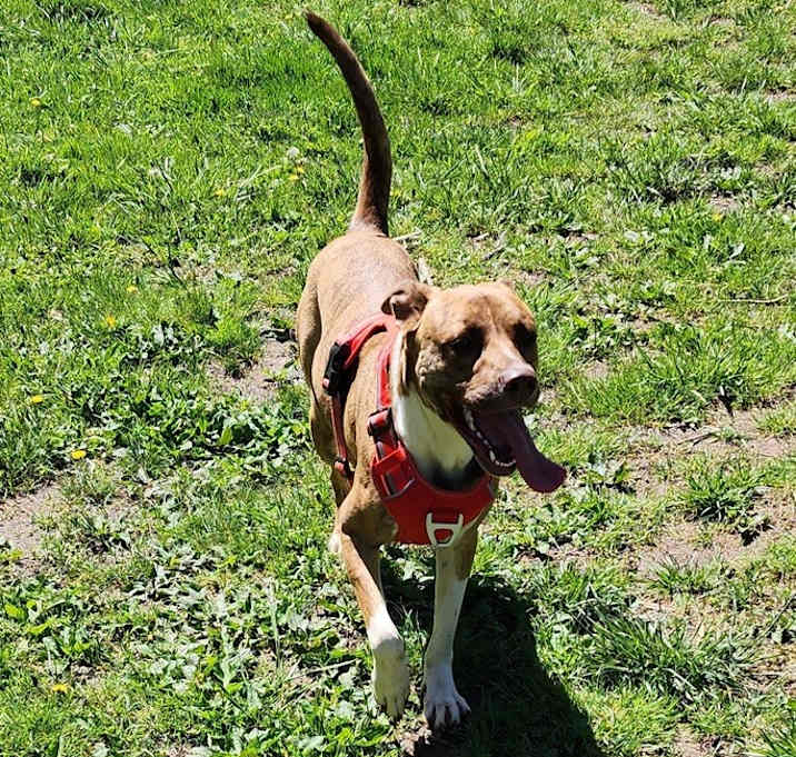Photo of Bella