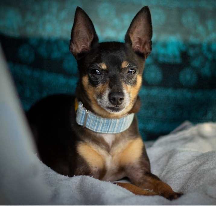 Photo of Flash