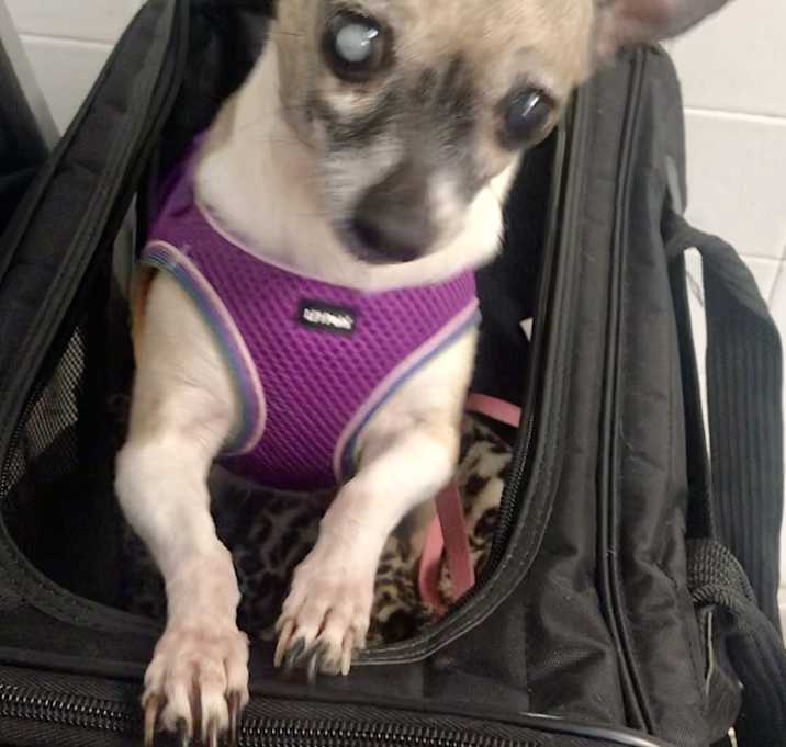 Photo of Ellie Sue