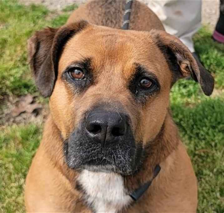 Photo of Stella