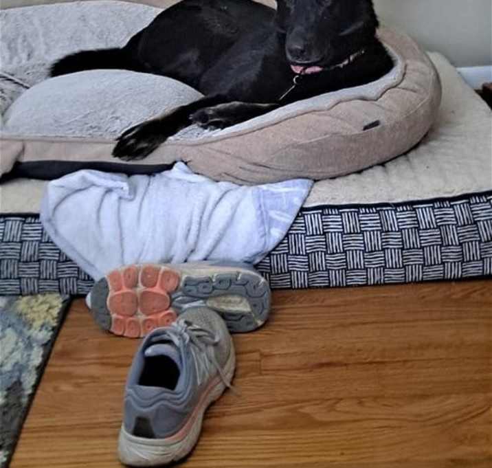 Photo of Nova
