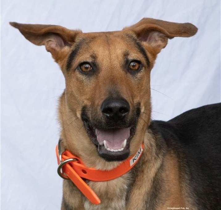Photo of Kim