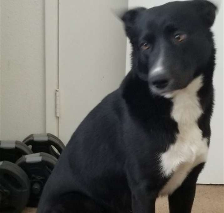 Photo of Parker