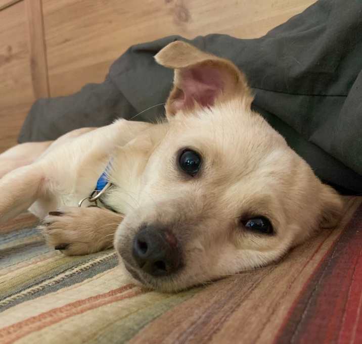 Photo of Adorable Brady