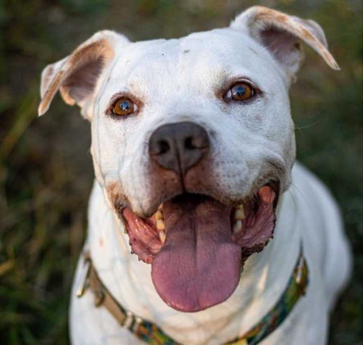 Photo of Mowgli