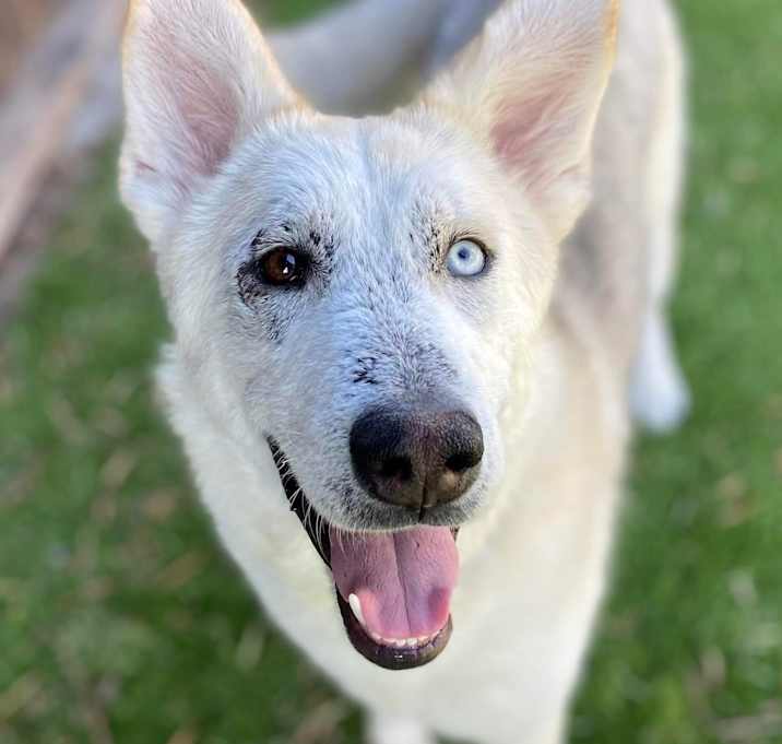 Photo of Shayna!