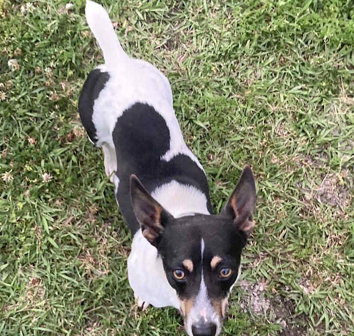 Photo of Puddles