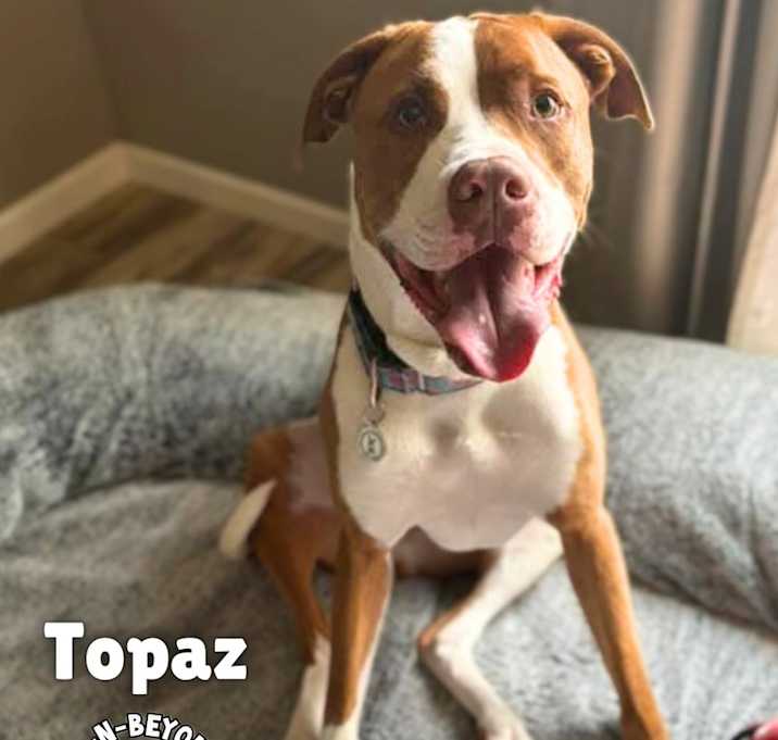 Photo of Topaz
