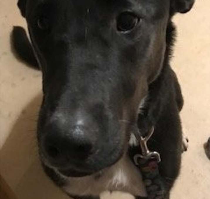 Photo of Skye