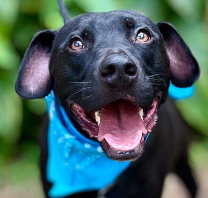 Photo of Rambo Gunner