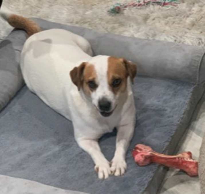 Photo of Molly