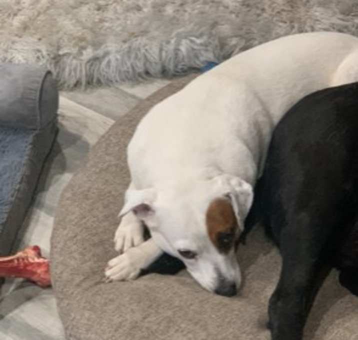 Photo of Holly
