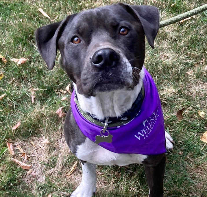 Photo of Buddy-Meet me?
