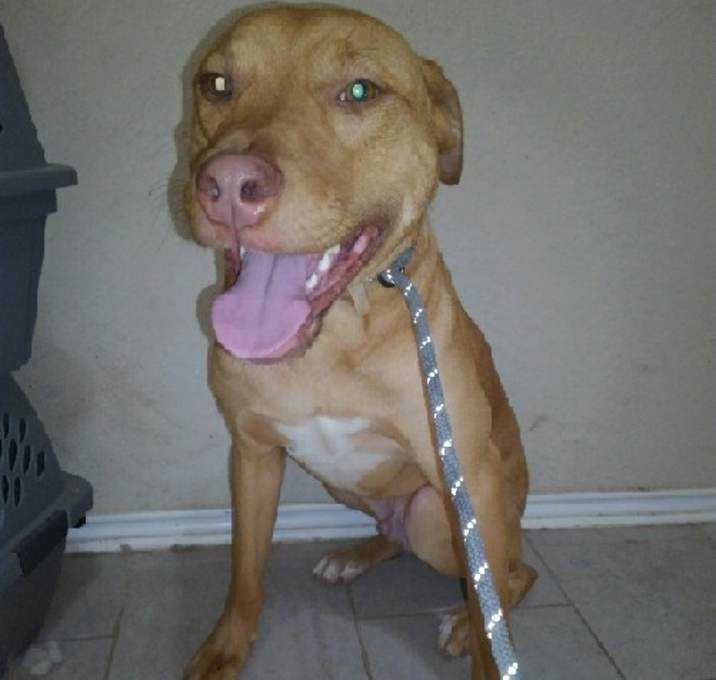 Photo of Tex