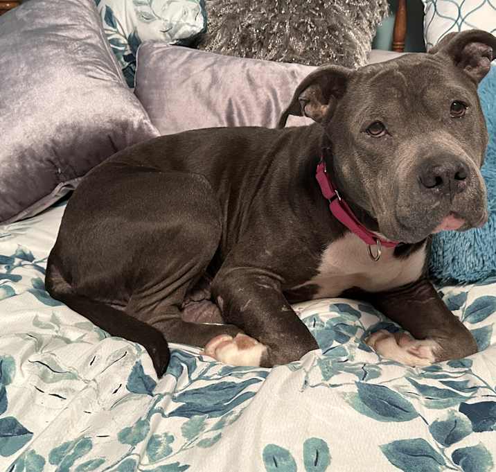 Photo of Rosie
