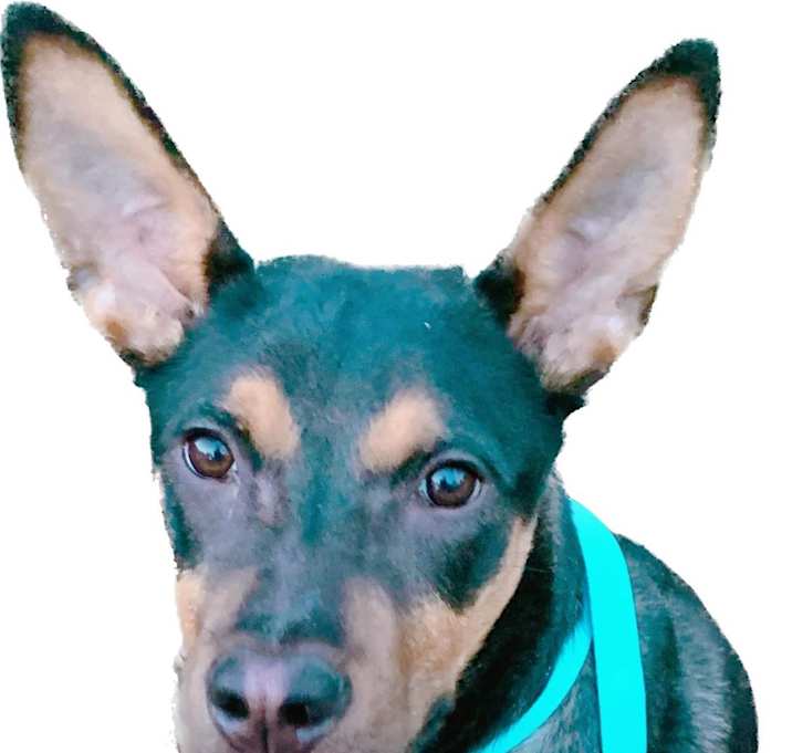 Photo of Tyler