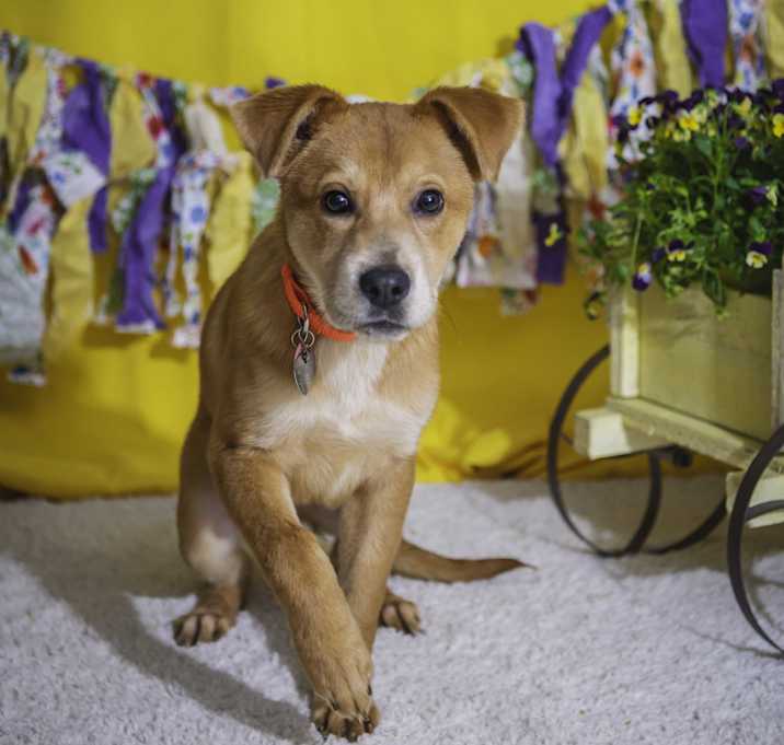 Photo of Bugsy