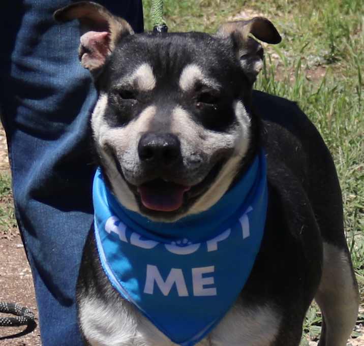 Photo of Rocky