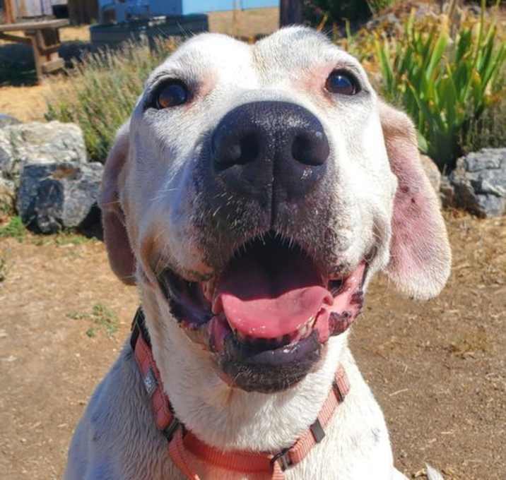 Photo of Junie