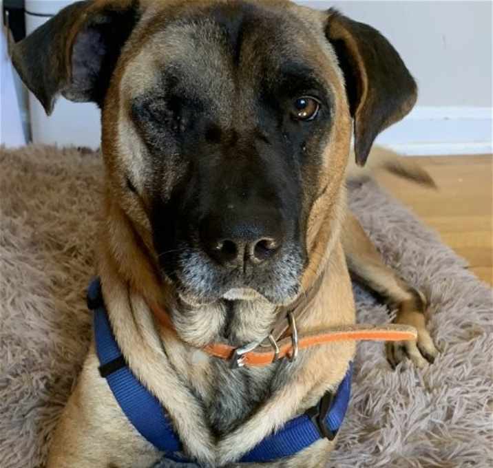 Photo of Scooter
