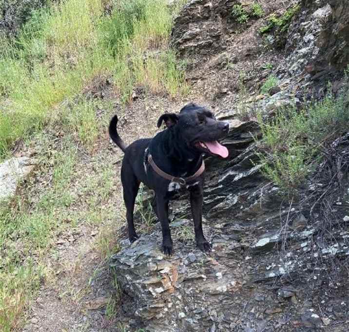 Photo of Max Boy