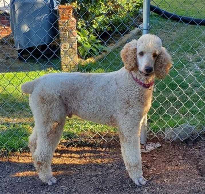 Photo of Bentley