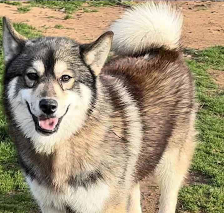 Photo of Axle