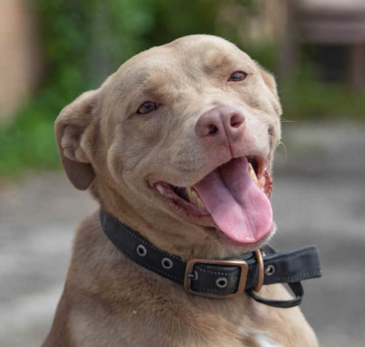Photo of Artemis