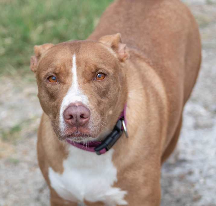 Photo of Hera