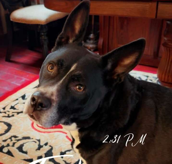 Photo of Jackson