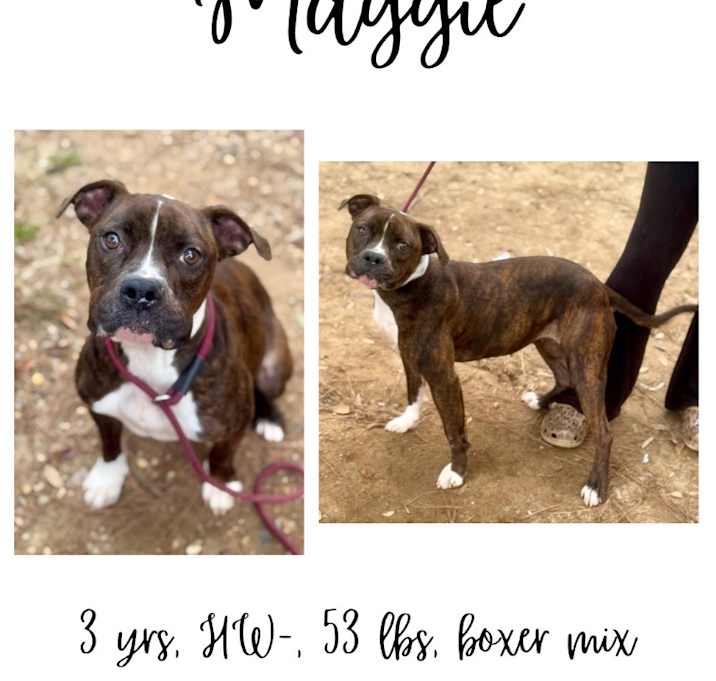 Photo of Maggie