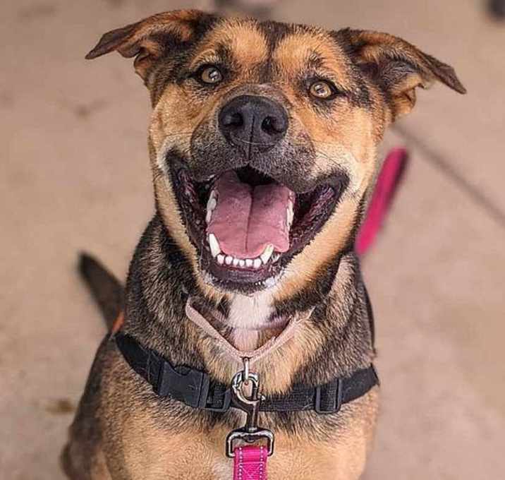 Photo of Benson