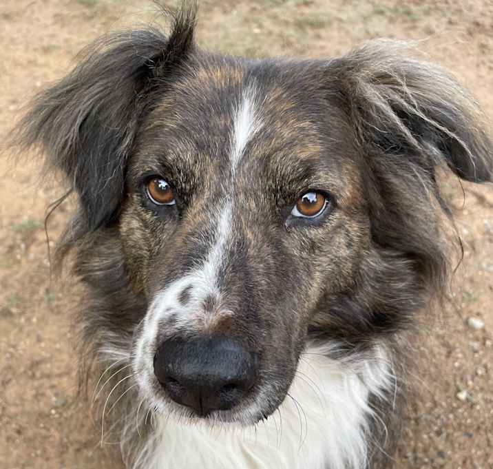 Photo of Duke