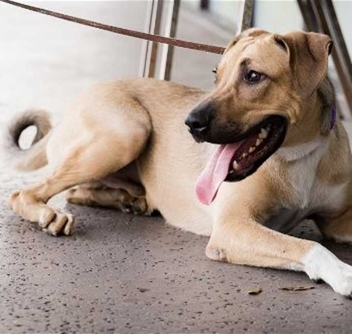 Photo of Oscar