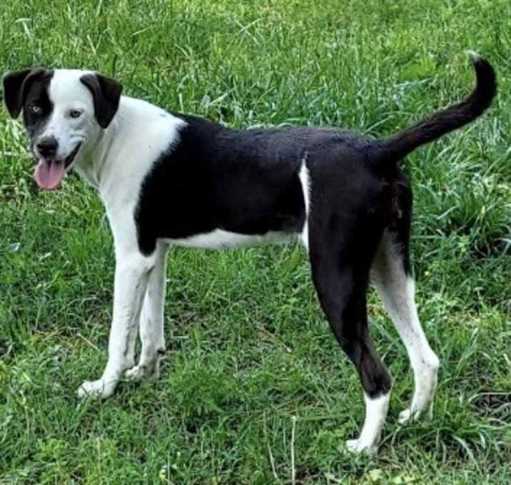 Photo of Truckie