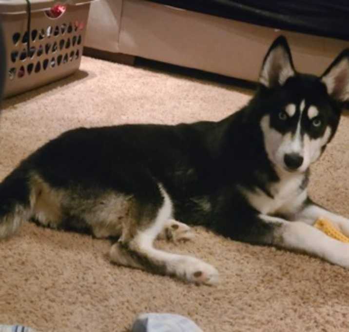 Photo of RAFE