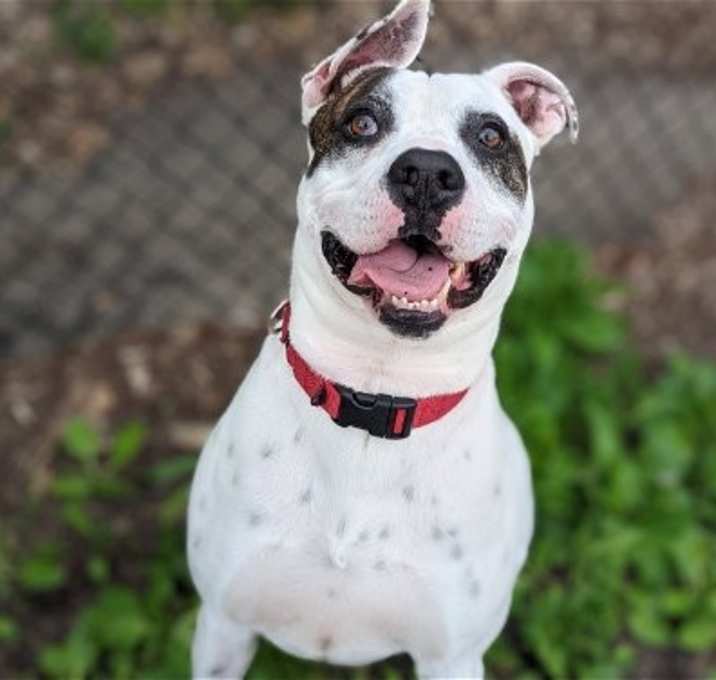 Photo of ChooChoo
