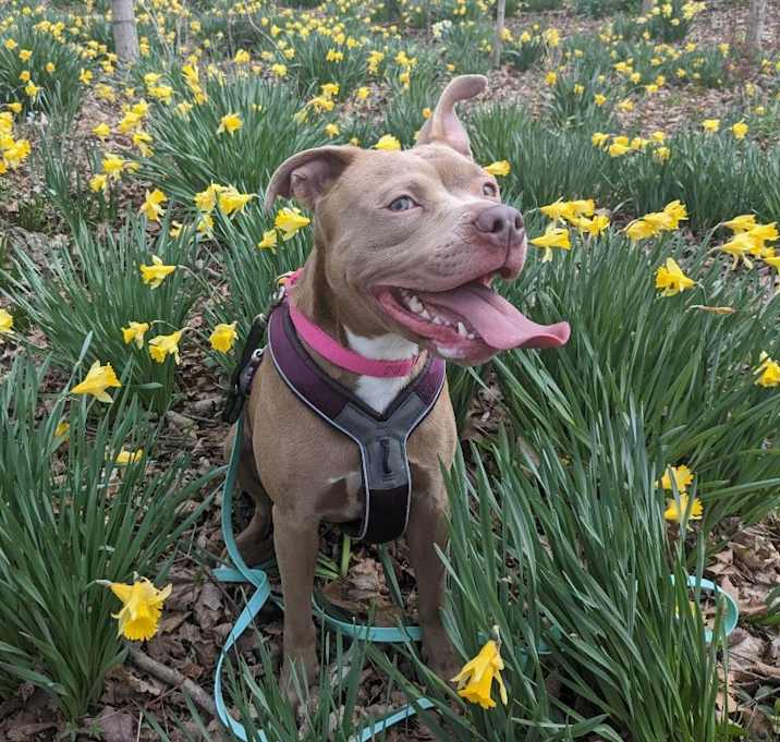 Photo of Penny
