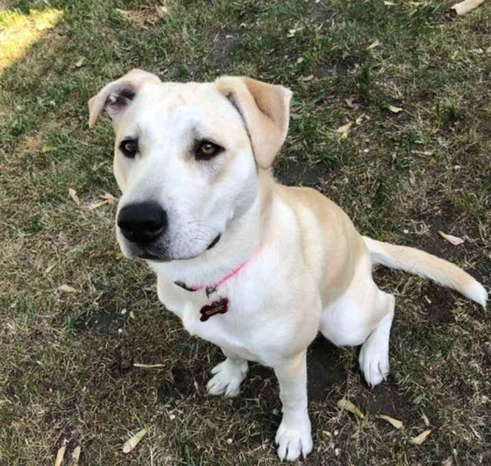 Photo of Elsie D5813