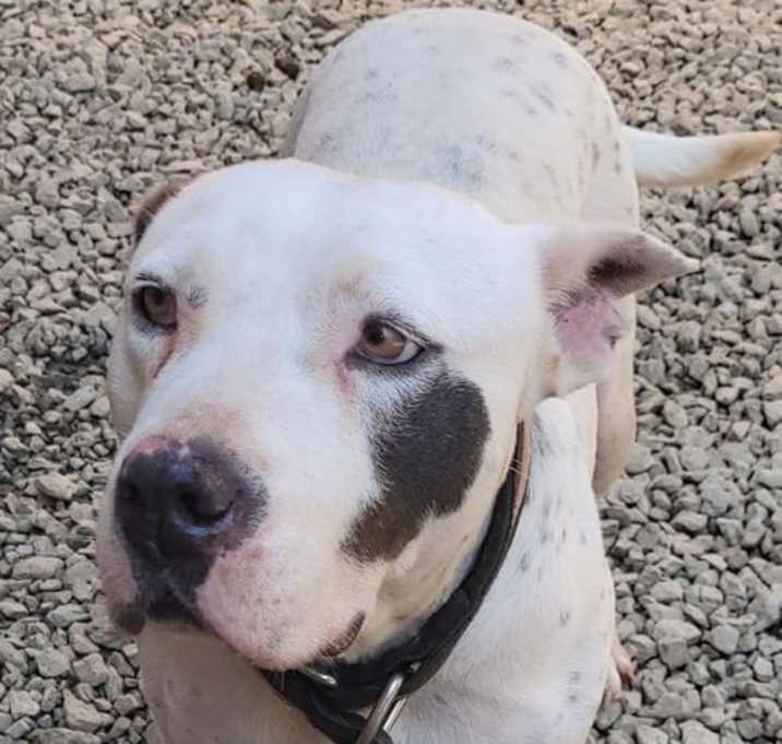 Photo of Blanca