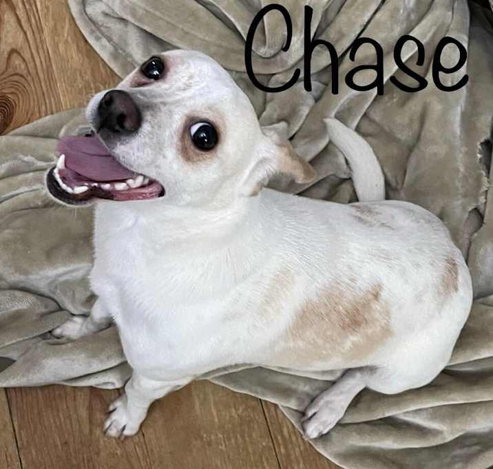 Photo of Chase