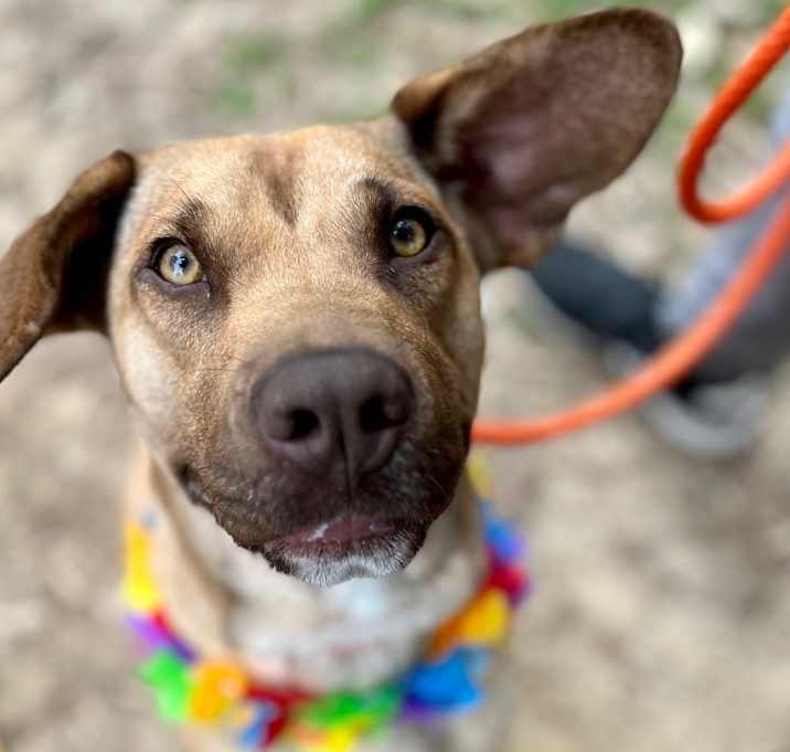 Photo of Betsie