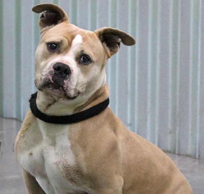 Photo of Hercules