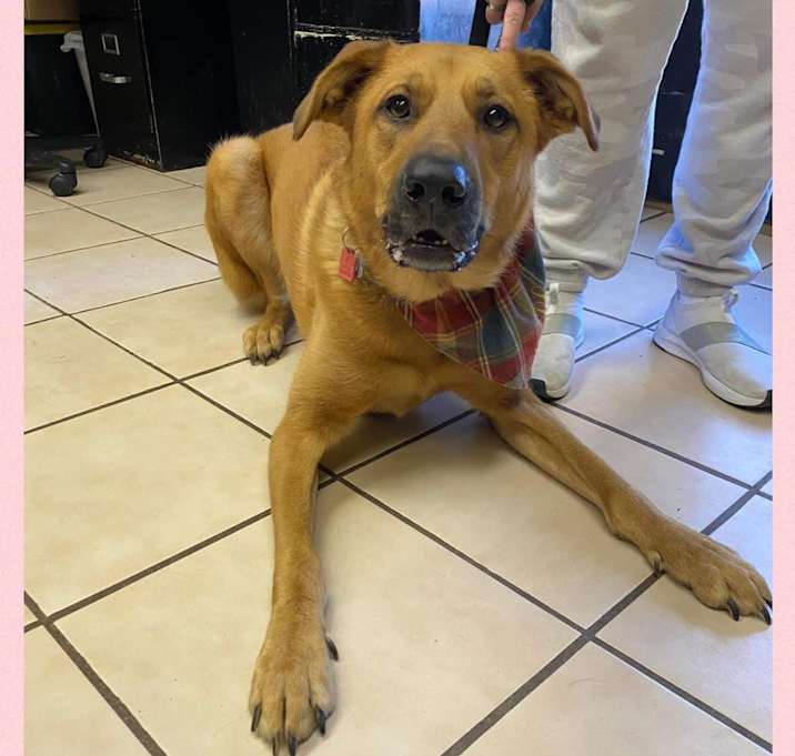 Photo of Holly