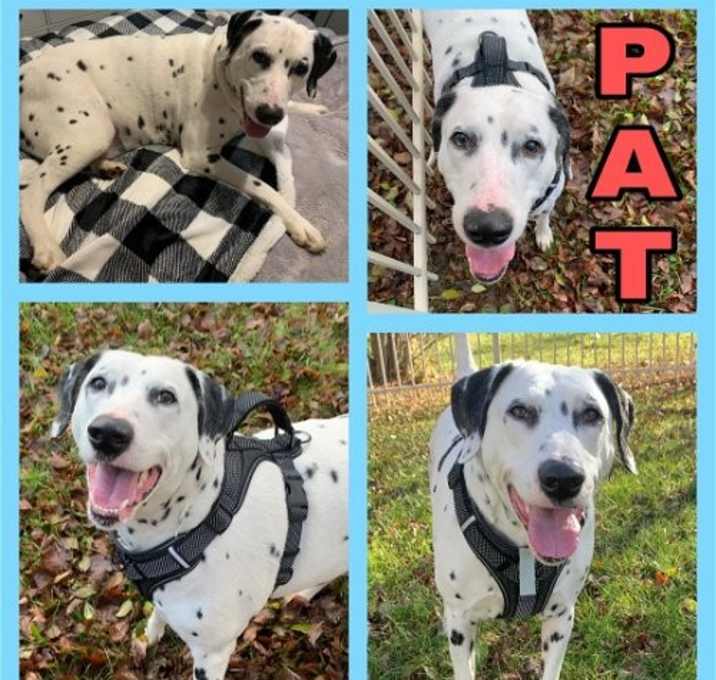 Photo of Pat