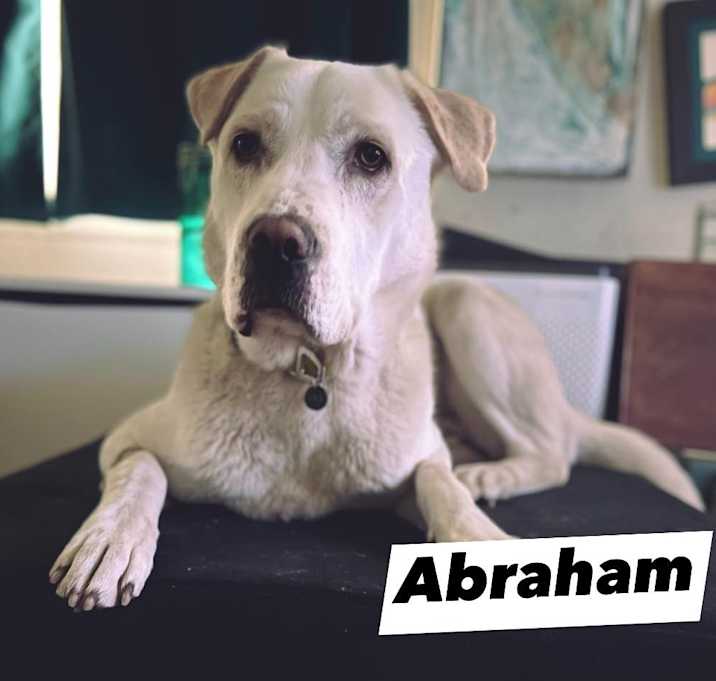 Photo of Abraham