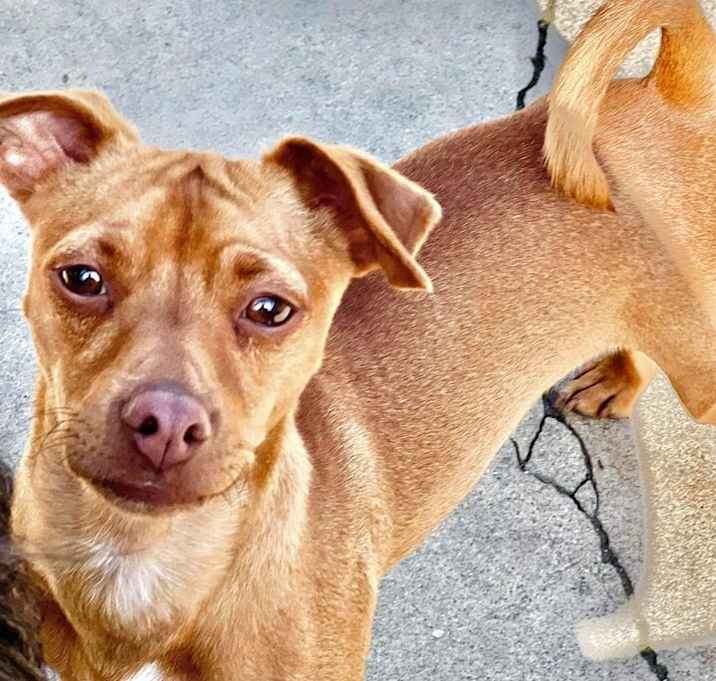 Photo of Charlie