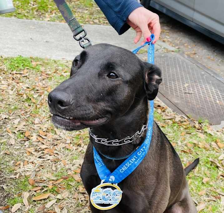 Mr. Dees (In Foster)